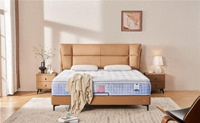 穗宝床垫【唯-爱 3.0】，满足年轻人既要又要的消费需求  第1张