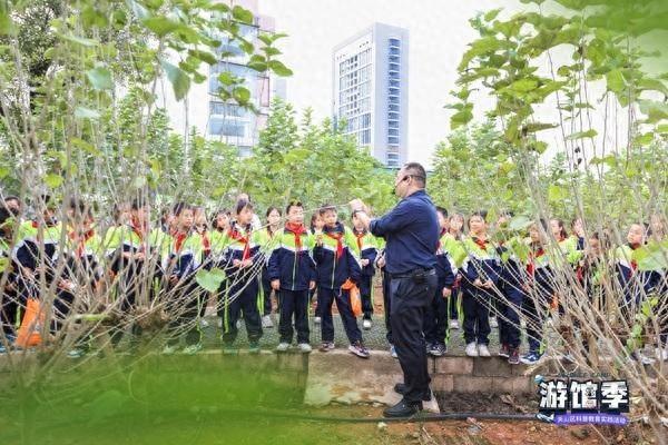 2024 年天心游馆季：40 名学生踏上神秘之旅，探索蚕桑科学的奥秘