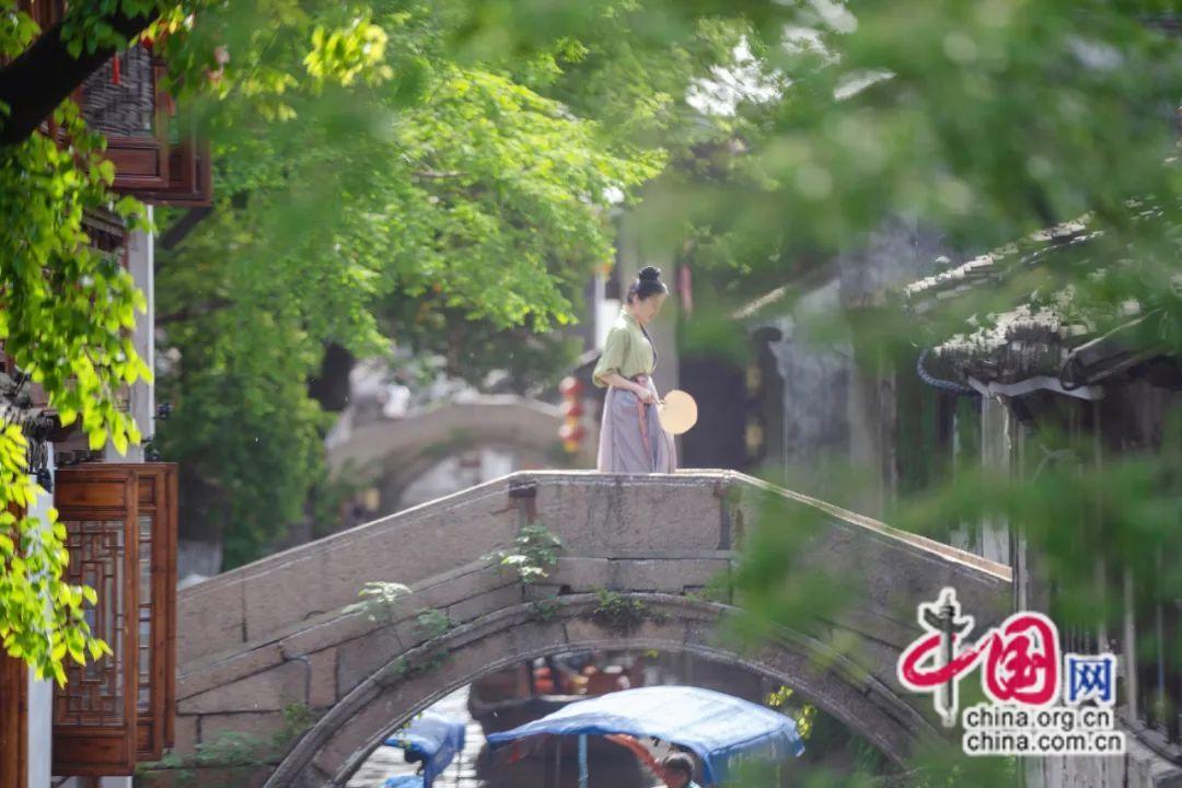 周庄古镇：江南水乡的诗画传奇，一生必去的 20 个长三角古镇之一  第5张