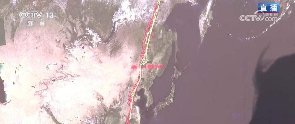 震撼！每年春秋十余万只候鸟齐聚吉林莫莫格湿地，它们到底在干什么？  第9张