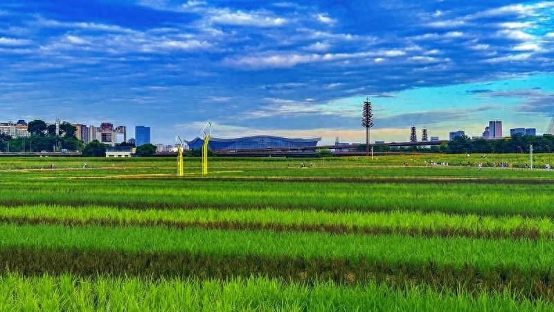 成都发布的这个标准体系，将为全国都市农业提供借鉴  第1张
