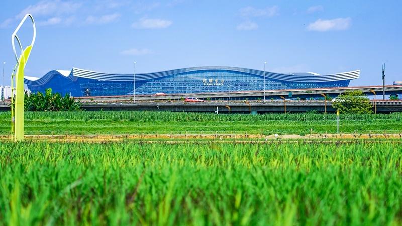 成都发布的这个标准体系，将为全国都市农业提供借鉴  第2张