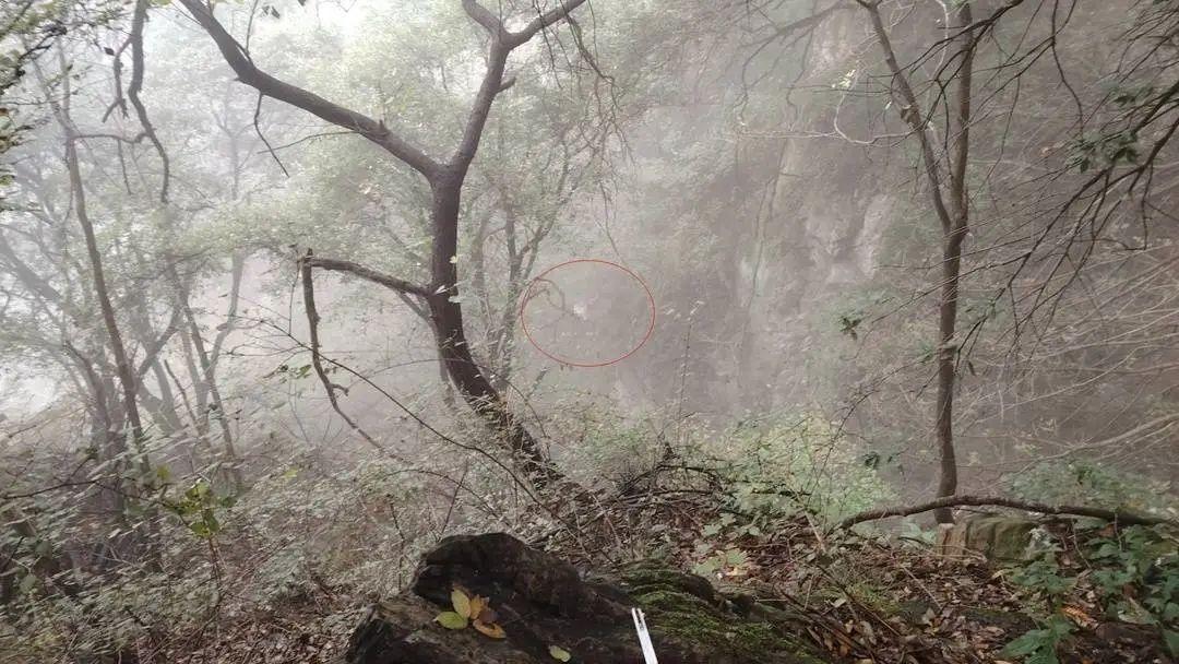 退休教授登封爬山失联，坠下 150 米悬崖身亡  第3张