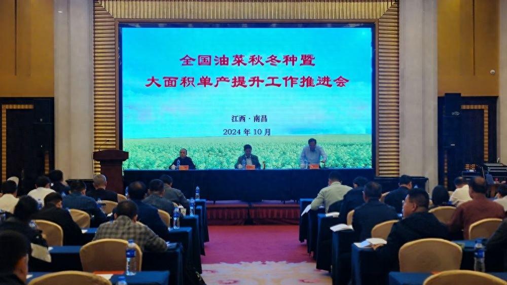 2024 年全国油菜秋冬种推进会召开，上百位代表及专家齐聚南昌