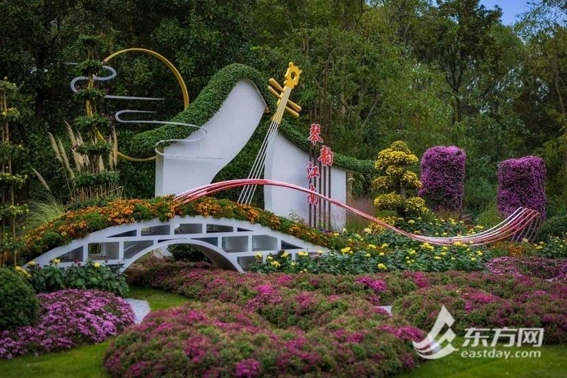 2024 上海菊花展来袭！品金秋菊韵，享美好生活，你准备好了吗？  第5张