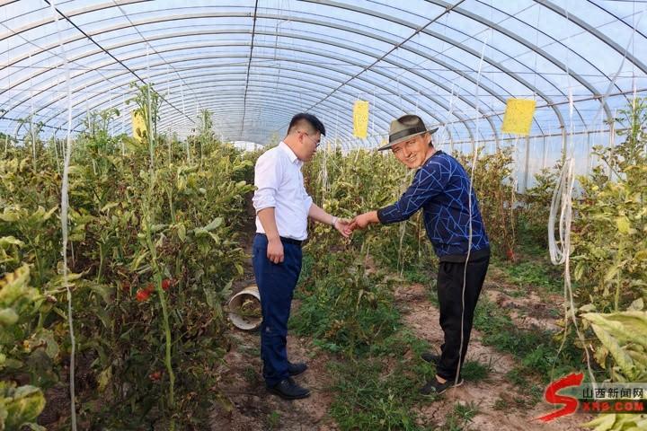 襄汾万都村镇银行张礼支行：助力大棚产业，成就农业城堡  第1张