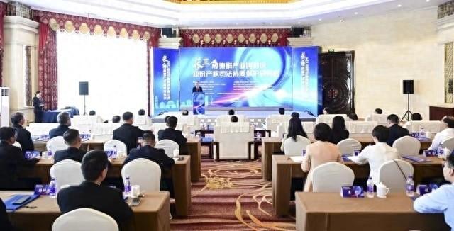 长三角跨地域知识产权司法协同保护研讨会在奉贤举行，探索新质生产力发展护航之道  第1张