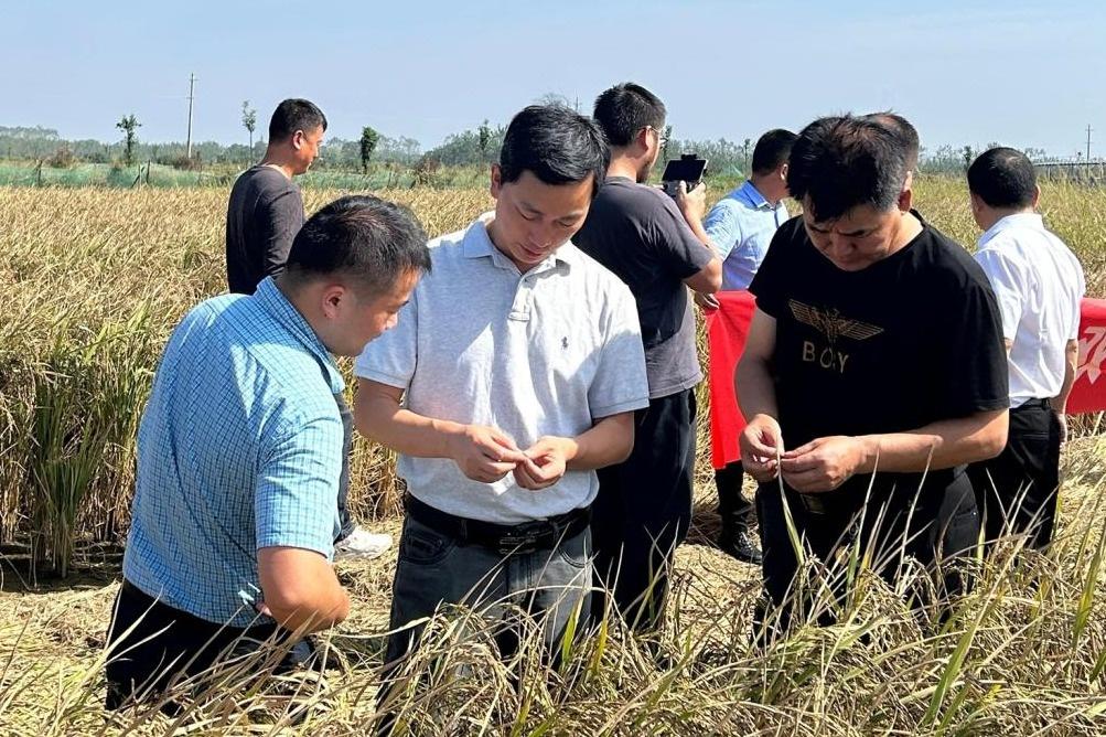 湖北洪山实验室重大项目培训会，探索稻鸭虾双不双精准绿色种养技术  第2张