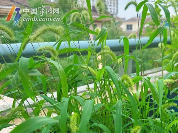冷空气来袭！今晨宁波气温降至 12.2℃，霜降节气寒意尽显  第3张