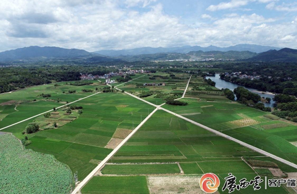 广西这两个地方的土地竟然富含天然硒元素  第1张