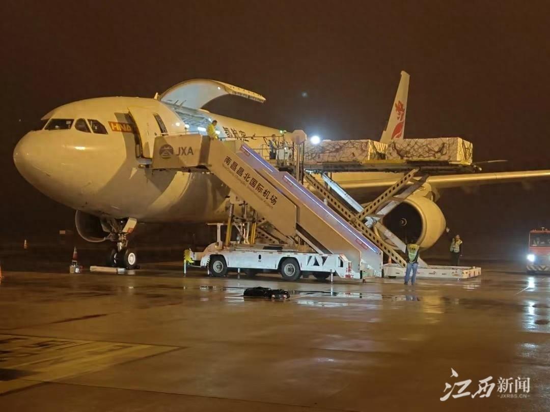 南昌空港口岸进口量惊人！1724.6 吨鲜活产品背后的秘密  第1张