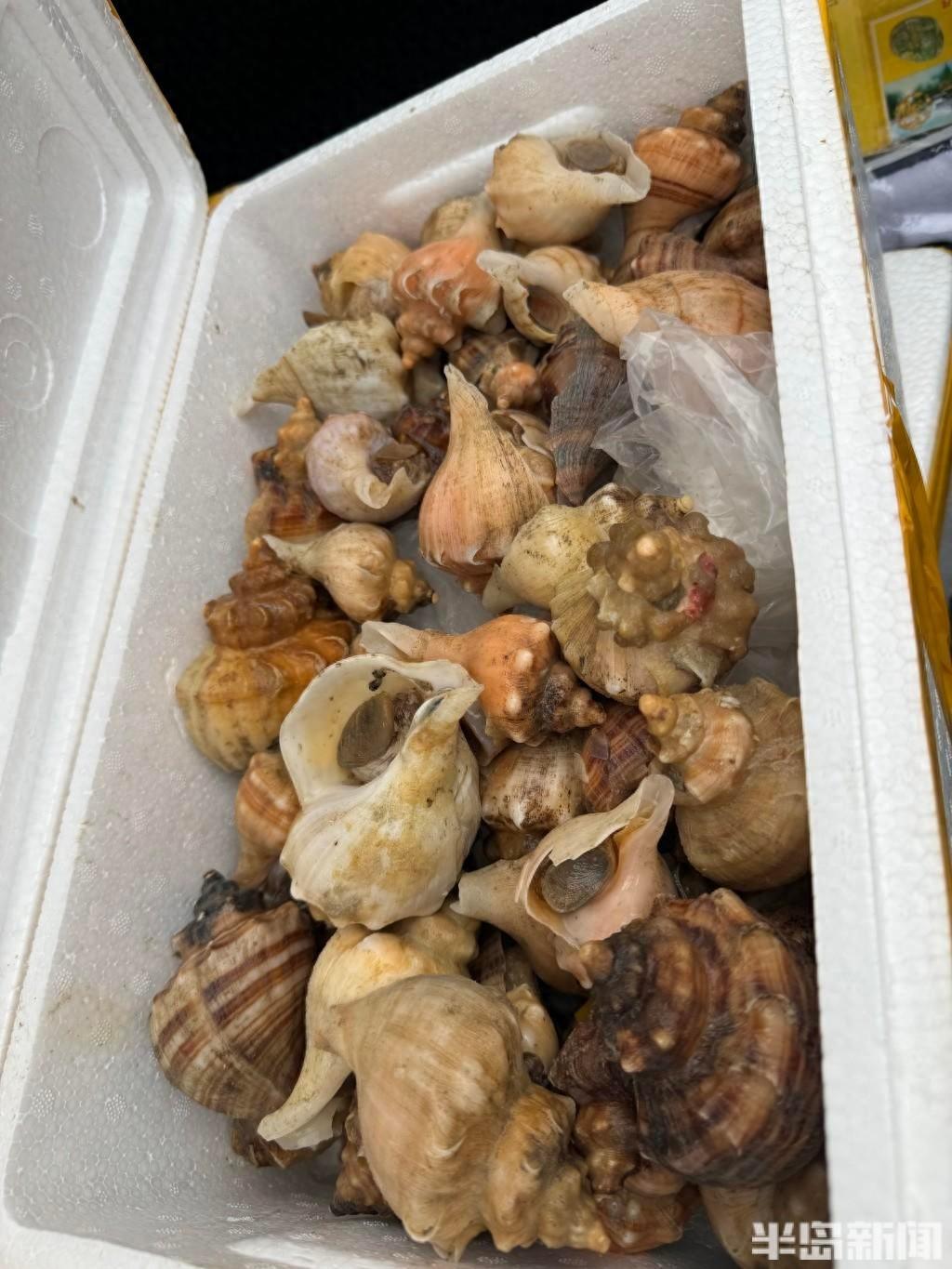 休渔期结束，青岛机场打造腹舱海鲜运输新增长点  第1张