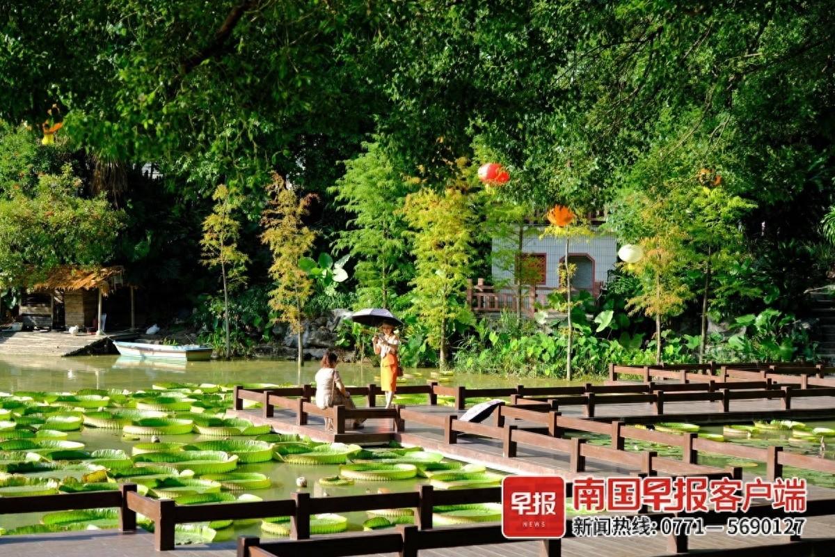 冷空气来袭，气温骤降！你准备好了吗？  第1张