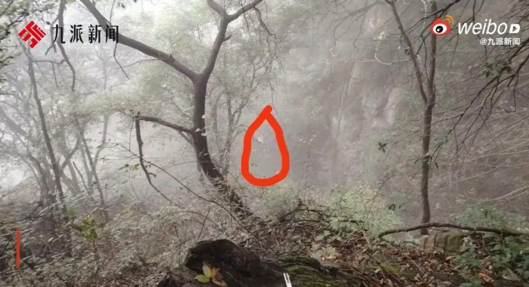 退休教授登封爬山失联 2 天后竟坠崖身亡  第3张