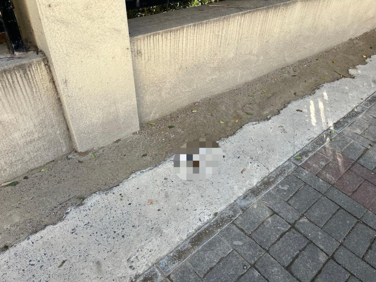 新修道路竟成露天厕所，市民直呼受不了  第3张
