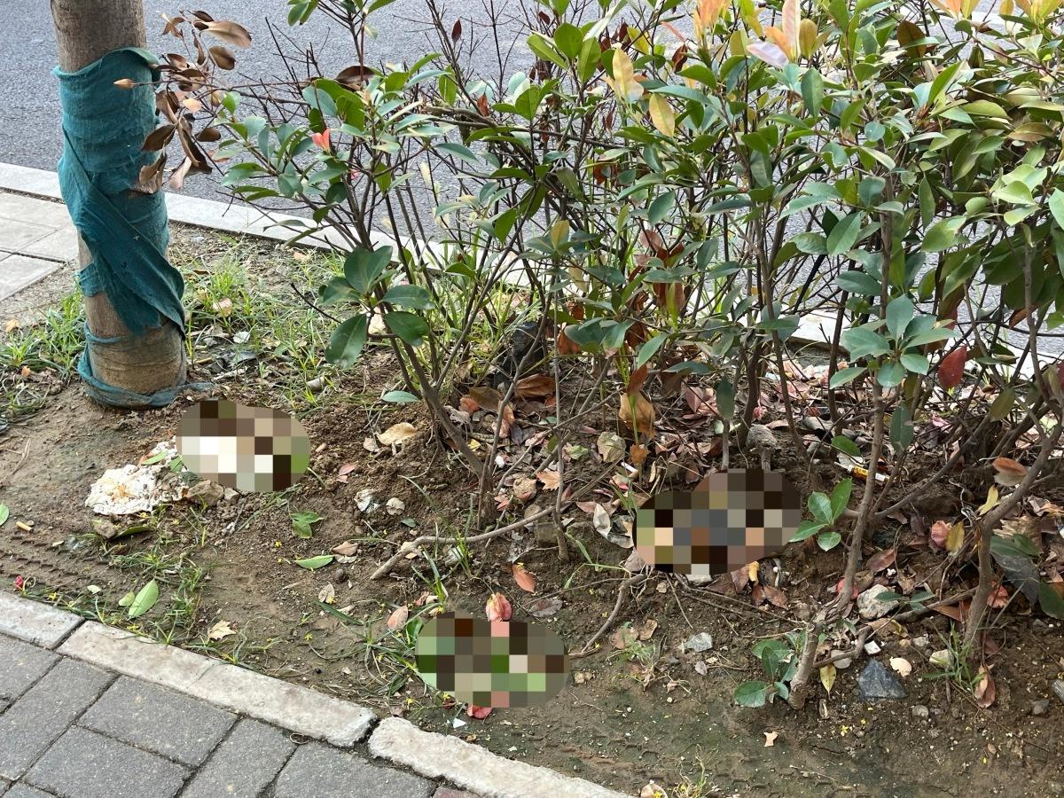 新修道路竟成露天厕所，市民直呼受不了  第4张