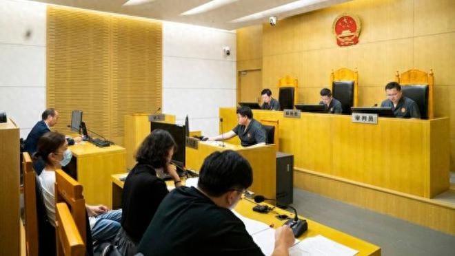 救护车颠簸致家属胸椎骨折，谁来担责？法院这样判