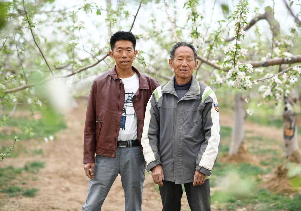 回乡种苹果，直播卖货忙！新农人赵伟父子带你领略延安苹果的甜蜜  第3张