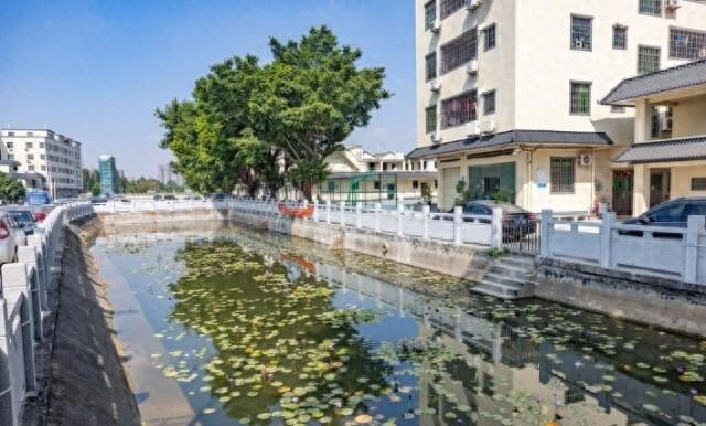 广州一村庄废弃鱼塘大变身，摇身一变成村民休闲健身新场所  第1张