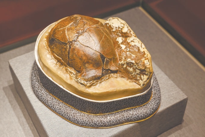 探秘百年博物馆：北疆博物院，中国近代博物馆发展的活化石  第2张