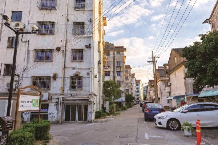 当湖街道永乐里南区居民终于告别蜘蛛网困扰  第1张