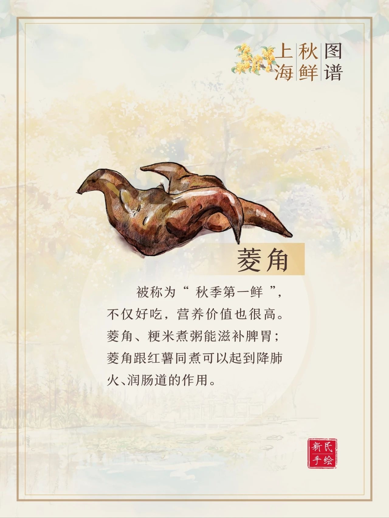 秋季时令美食大揭秘，大闸蟹、鲈鱼等美味等你来尝  第6张