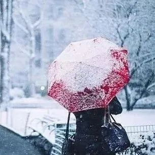 强雨雪+大风+降温！黑龙江省大部地区将迎极端天气，部分地区积雪深度或破纪录