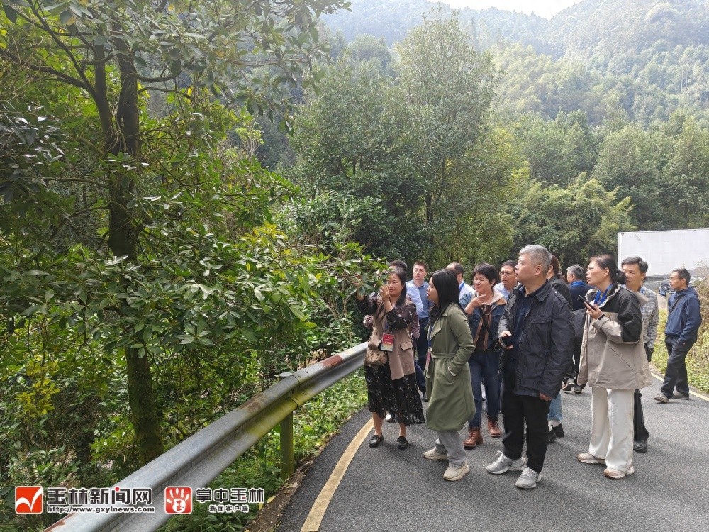玉林香料产业博览会竟有如此独特的寻香之旅  第1张