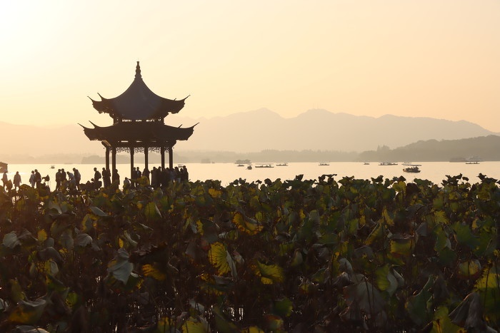 11 月 21 日，西湖边竟如此热闹！游客纷纷涌入，尽享人间佳境  第4张
