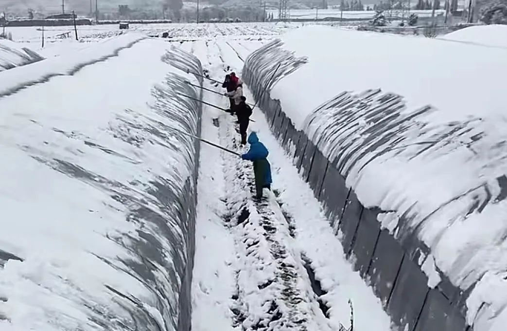 25 日-29 日雨雪寒潮来袭，设施农业需提前防范  第3张