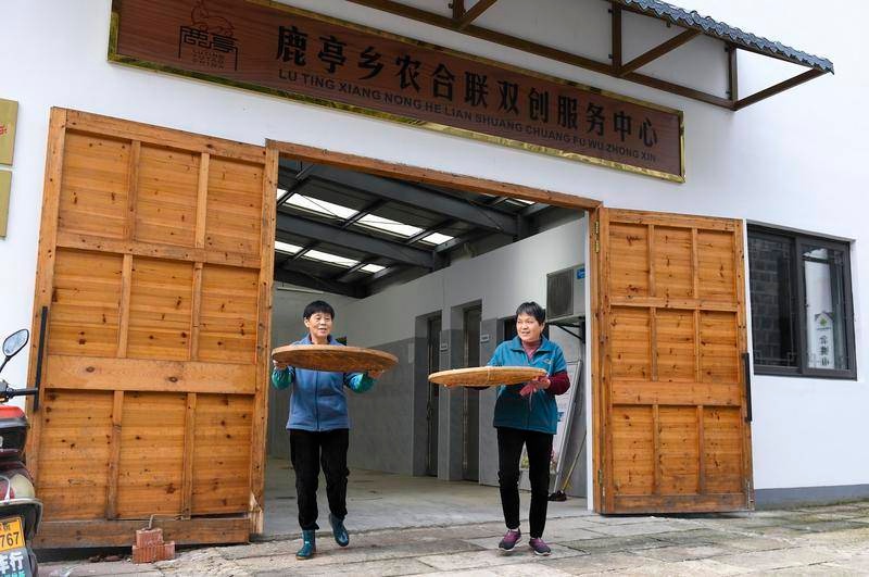 中国最长沿海公路！串联 10 省，见证经济奇迹，自带诗和远方  第6张