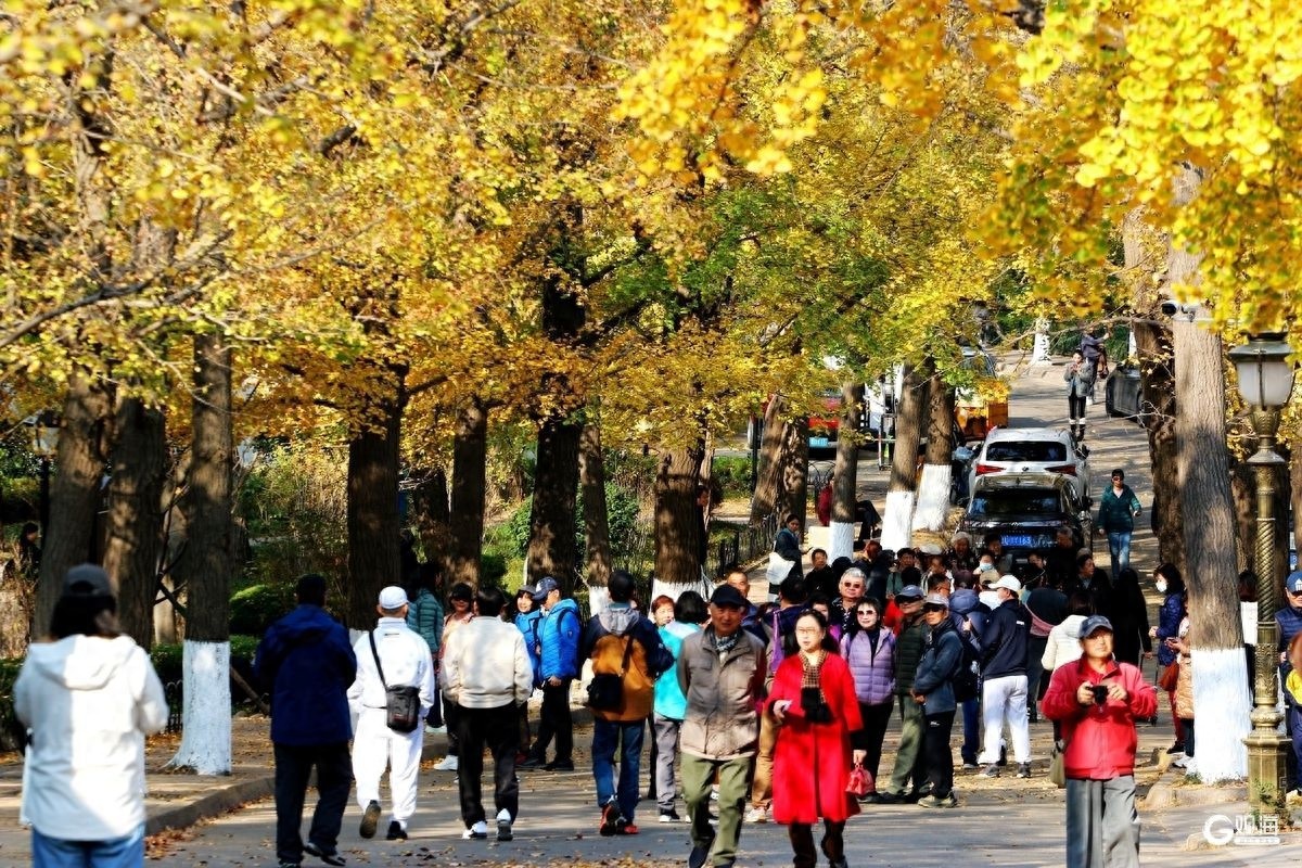 下周初强冷空气来袭！青岛气温将大跳水，你准备好了吗？  第1张