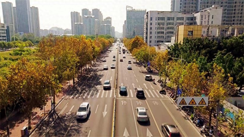 柳州街头惊现绝美风景，市民直呼浪漫至极  第1张