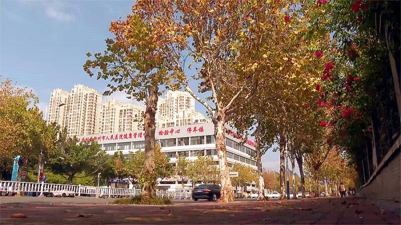 柳州街头惊现绝美风景，市民直呼浪漫至极  第7张