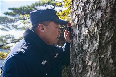 揭秘黄山迎客松守护者：他们如何用科技与匠心守护千年古树？  第1张