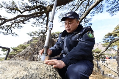 揭秘黄山迎客松守护者：他们如何用科技与匠心守护千年古树？  第3张