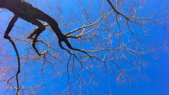 未来三天天气大变脸！从晴朗到零星小雪，气温骤降，你准备好了吗？  第4张