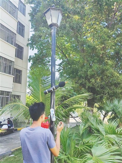 电影中的声音魔法：同一种声音，不同听者的奇妙猜想