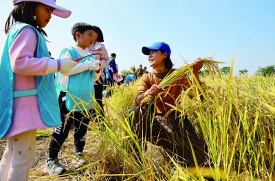 90后美女从互联网辞职种田，两年后荒田变宝地，生态大米热销引爆市场  第6张