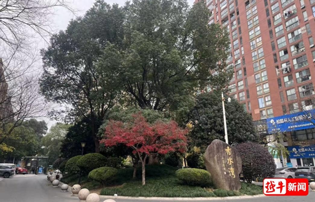 新年惊喜！绍兴小区直接发钱，业主领到800元，朋友圈都炸了  第1张