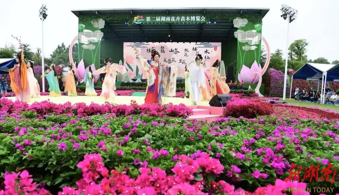 湘潭盘龙大观园：从工业退出到绿色崛起，4.36亿投入如何实现生态与经济双赢？  第3张