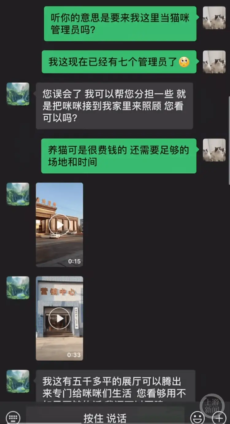 5000㎡展厅养30只猫，老板回应质疑：我只是单纯想  第2张