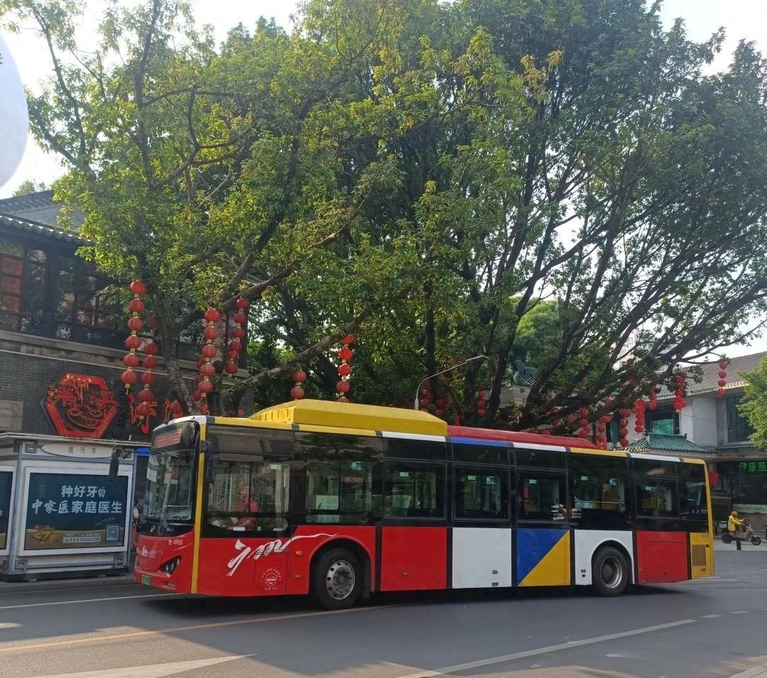 广州公交新规来袭！1.3米以下儿童免费乘车，不再限制数量，家长们快看  第1张