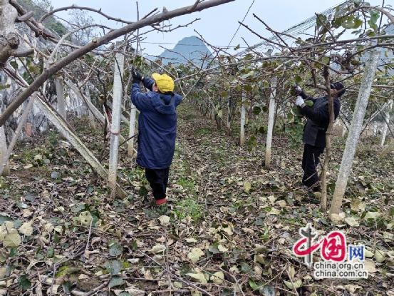 湖南永顺松柏镇：冬日无闲人，村民热火朝天为乡村振兴打基础  第2张