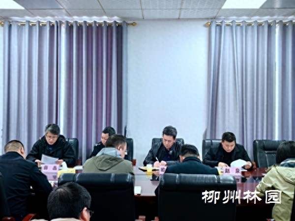 2024-2025年森林防火形势严峻，柳州市如何应对？专家深度解析