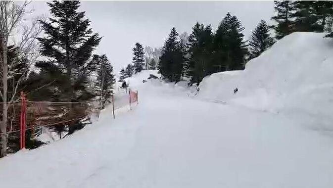 惊险！中国游客滑雪失踪，竟在39度陡坡外被发现，心肺骤停生死未卜  第2张