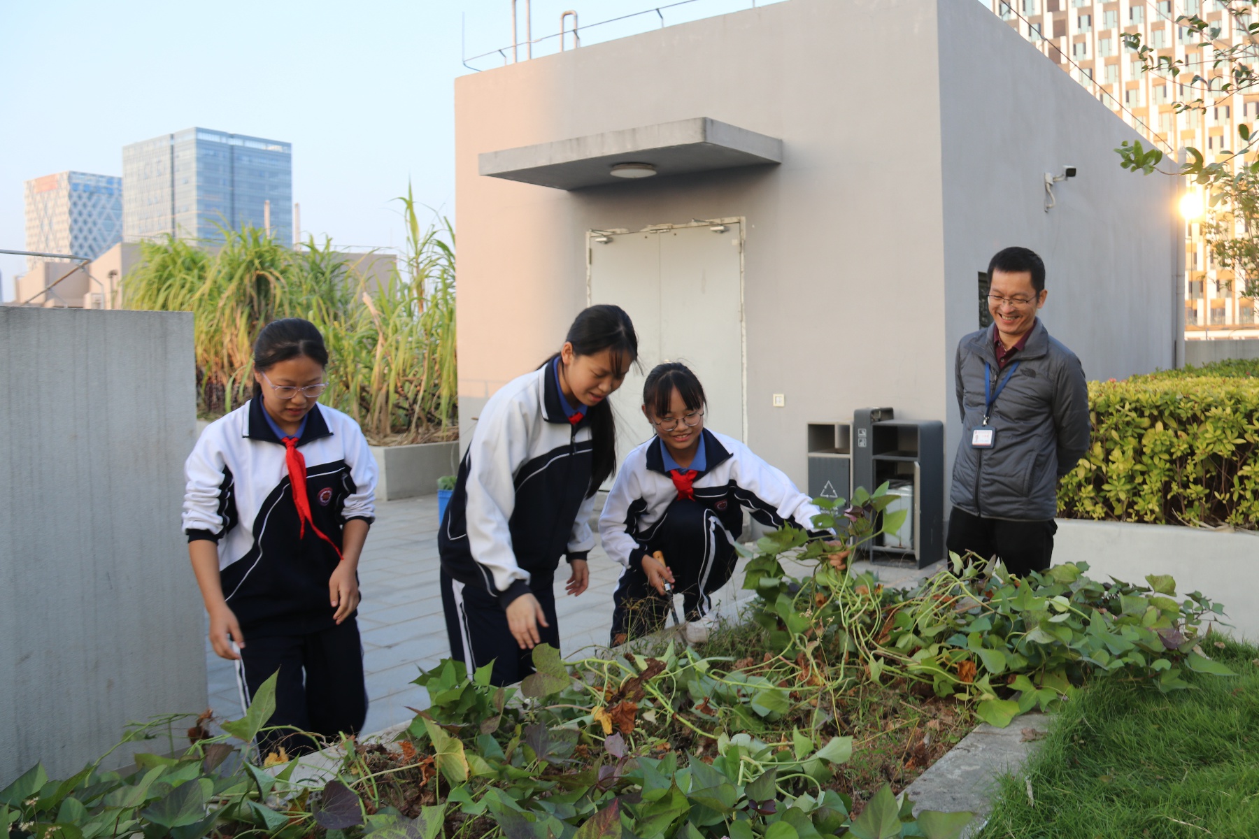 冬至不只是节气，锦绣实验学校带你体验传统文化盛宴  第5张