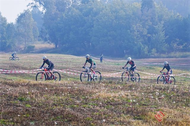 2024昆明山地自行车公开赛:400名选手阳宗海畔上演速度与激情 第2张 2024昆明山地自行车公开赛:400名选手阳宗海畔上演速度与激情 第2张