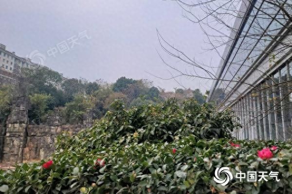 湖南未来三天天气预报：多云为主，后天晚间湘西北或迎雨夹雪，出行需谨慎  第1张
