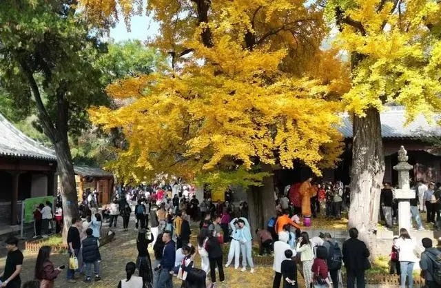 黑神话：悟空上线引爆灵岩寺，千年古刹如何乘风破浪成热搜常客？  第2张